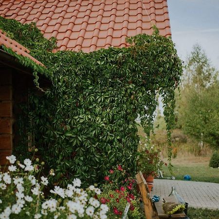 Dom Gościnny Sowia Stópka Miłomłyn Exterior foto
